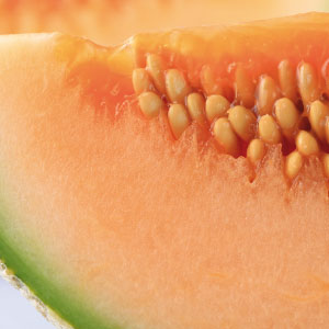 melon