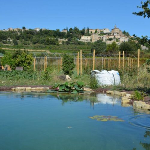 10-20-jardin-du-brave 10-20-jardin-du-brave