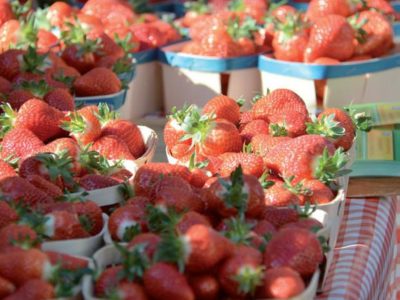 fête de la fraise Velleron fête de la fraise Velleron