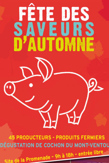 10-06- Sault fête saveurs