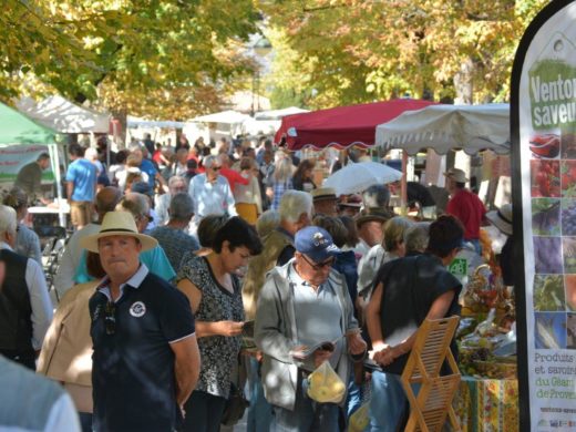 Fête des saveurs Sault Fête des saveurs Sault