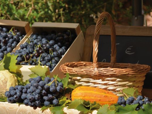Fête du raisin muscat - Villes-sur-Auzon Fête du raisin muscat - Villes-sur-Auzon