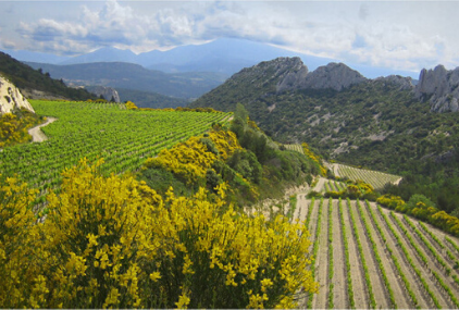 VAISON-LA-ROMAINE