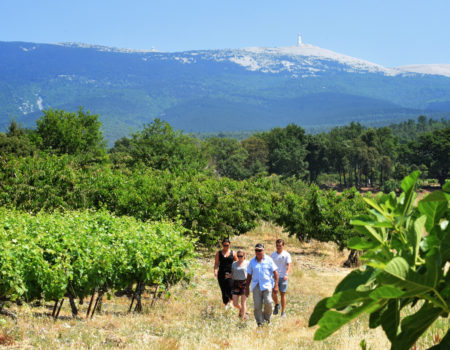 oct-17-Bedoin-Balade vigneronne VMV oct-17-Bedoin-Balade vigneronne VMV